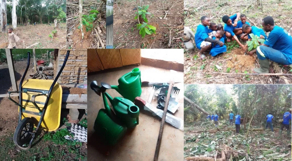 Déforestation, précarité et résilience : à Mintom, une agroforêt communautaire révèle à la fois des solutions concrètes et l’ampleur des besoins de financement